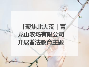 聚焦北大荒｜青龙山农场有限公司开展普法教育主题党日活动